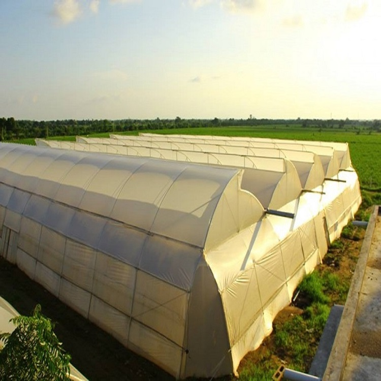 Commercial Arches Vegetable Greenhouses for Agriculture for Sale