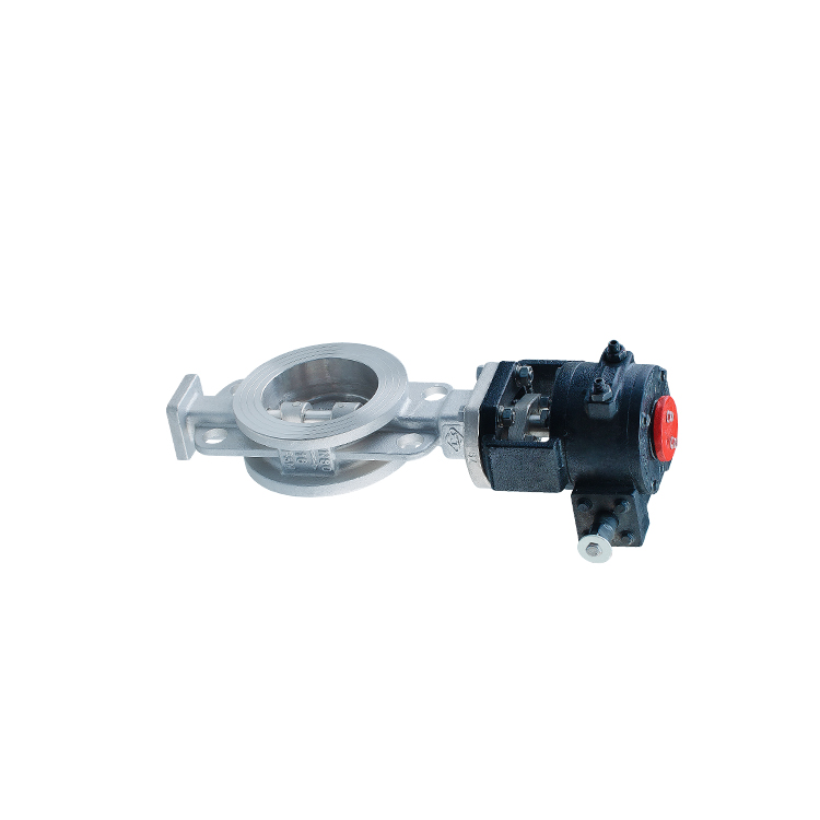 Поворотный дисковый стяжной затвор из нержавеющей стали CF3M D373W-16RL DN80 червячный редуктор