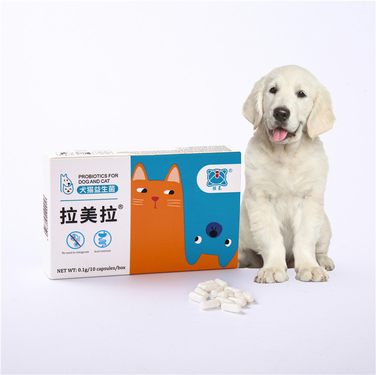 Directly used solve gastrointestinal dysfunction intestinal flora imbalance formula capsules pill probiotics for dogs