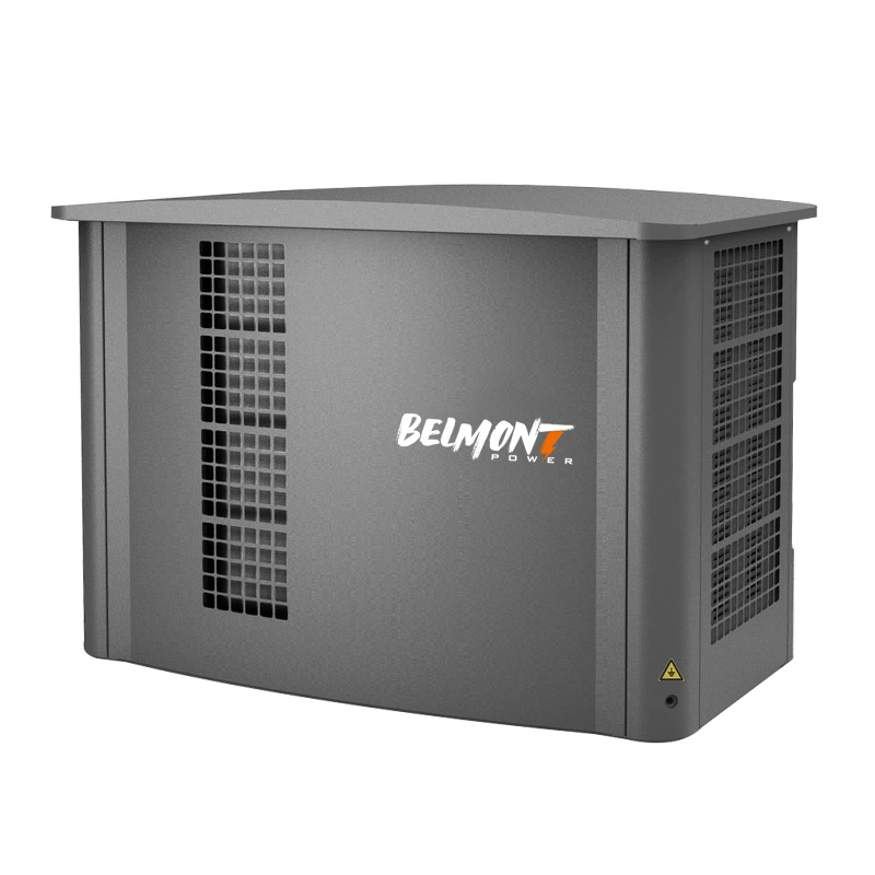20kva 16kw 25kva 36kva 20kw 22kw 23kw инвертор Электрический домашний lpg генератор 10kw генератор природного газа
