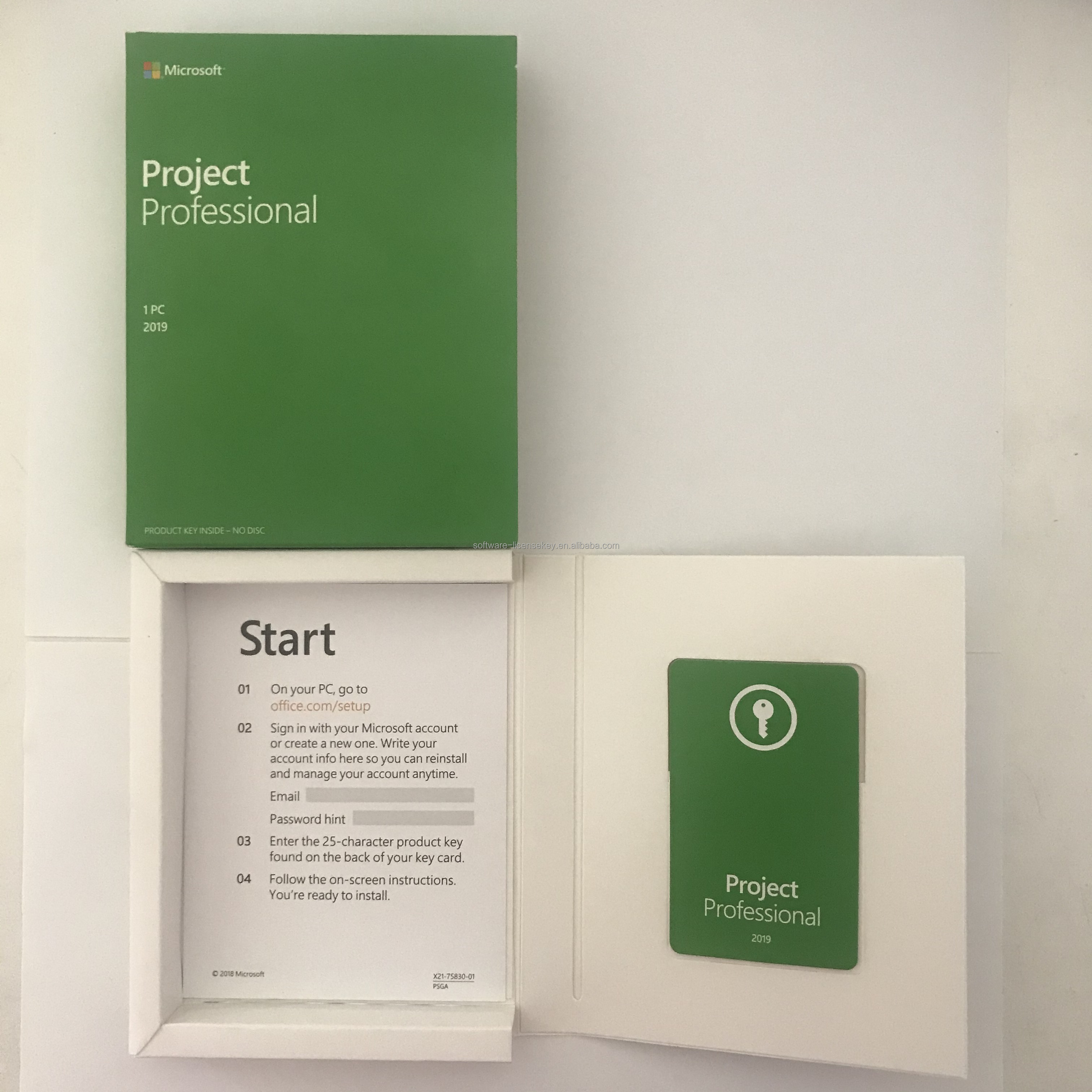 Лидер продаж Microsoft project professional 2019 32/64 бит розничные коробки Бесплатная доставка DHL project 2019