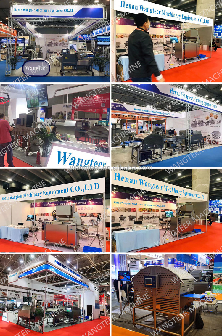 200kg/h Floating Fish Feed Making Manufacturer Pellet Equipment for Dog Pet Food Extruder Machine