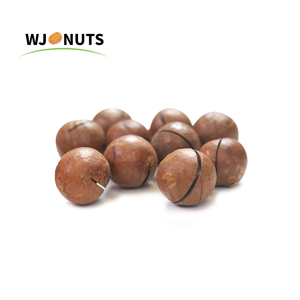 Wangjiang 100% natural Chinese powder 1 kg macadamia