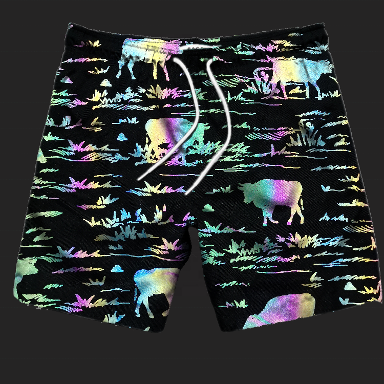 Rainbow Multi Color Reflective Knee Length Relax Size OEM Print Pattern Low Moq Fashionable Glow in the Dark Casual Shorts