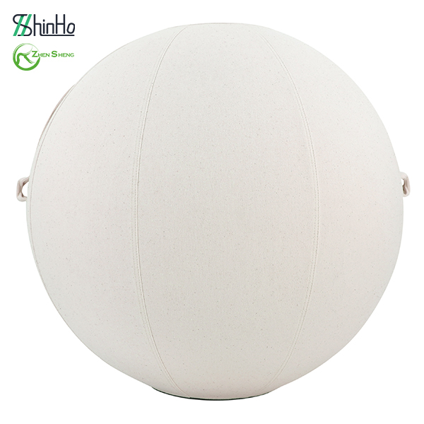 Zhensheng Cheapest Exercise Ball Cover Yoga Ball Slipcover with Handle