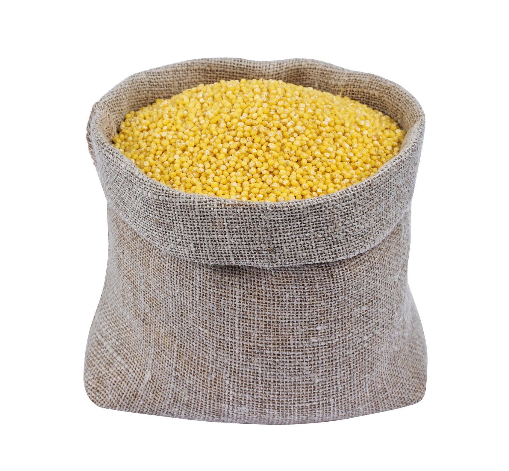 Black Broom corn Millet Bird Food for Exporting