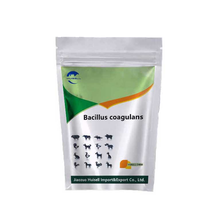 Chinese Supply High-Performance Standard Parts Durable and Stable Performance Bacillus Sporen Bacillus Coagulans