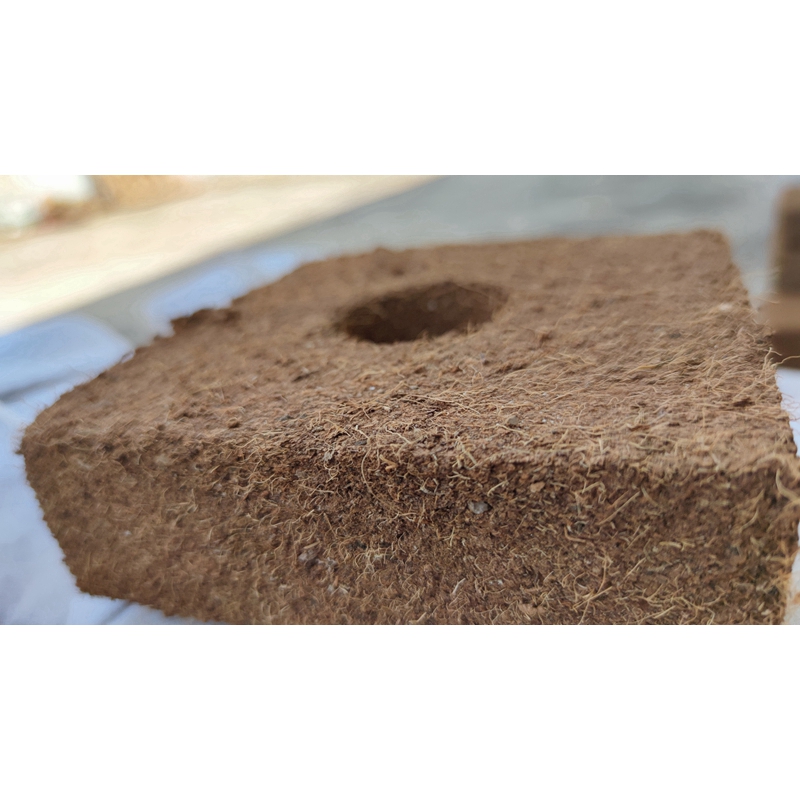 Latest Design Promotional Coconut Bricks Coco Peat Blocks From China