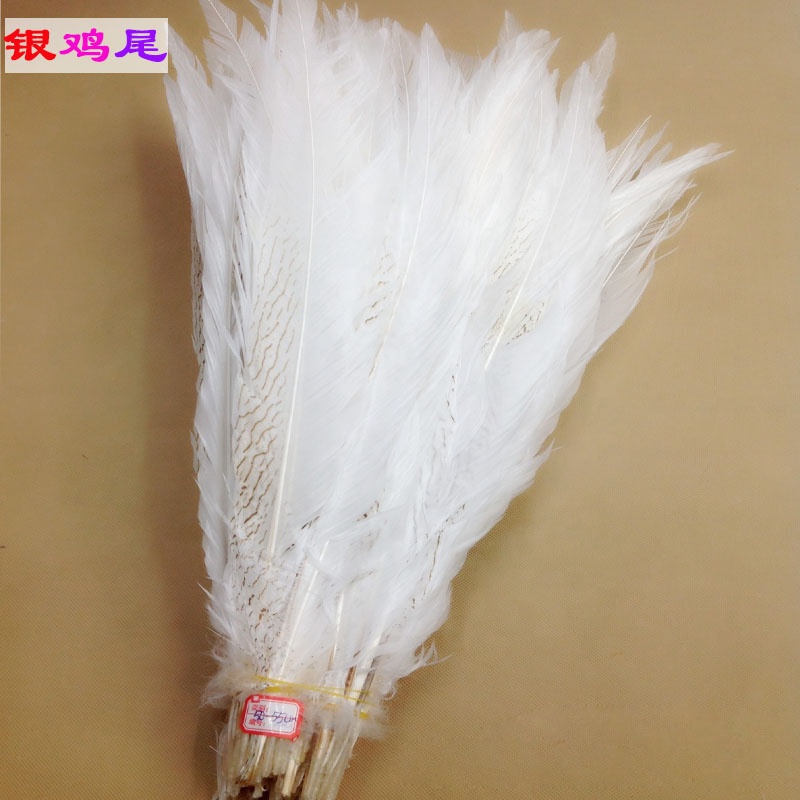35-40cm silver pheasant tail feather