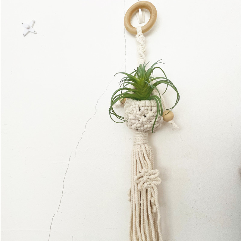 artificial Air bromeliad included small size indoor living room kids room wall plant hanger for home decoration