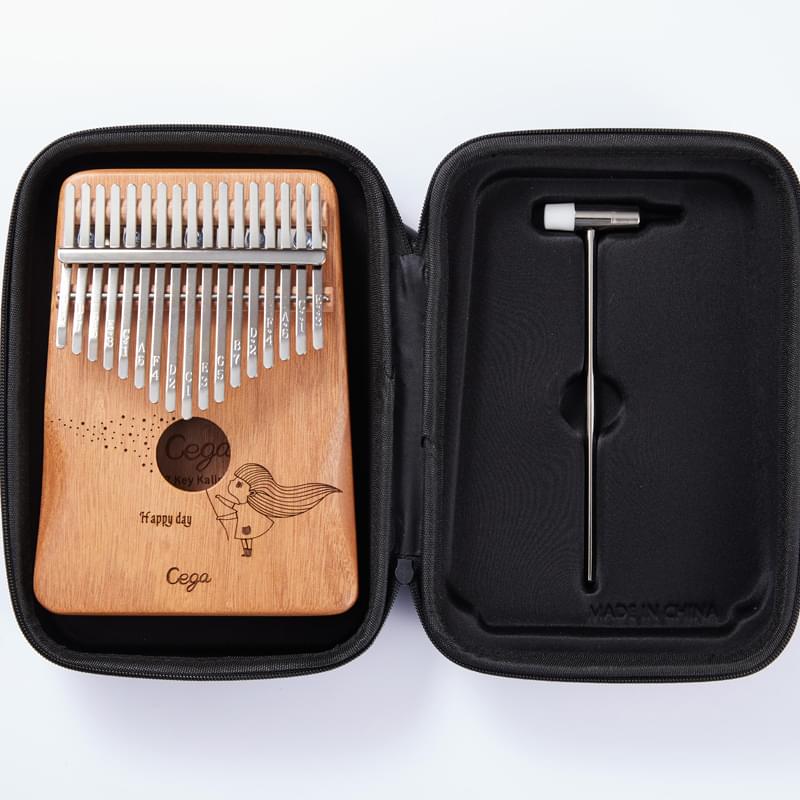 Профессиональный защитный кейс для kalimba с 17 клавишами, жесткий кейс, сумка для пианино с большим пальцем, водонепроницаемая коробка, кейс для хранения kalimba