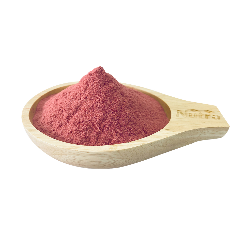 Factory supply 100% Natural Red Beet Root Extract Powder