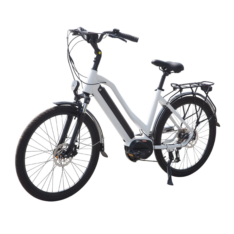2021 new design hot sale 1000w electric bike 29 mountainbike full suspension with high quality