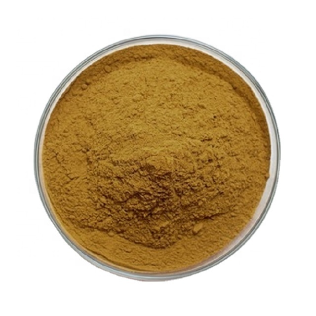 Best Price Uncaria Gambir Extract Uncaria Tomentosa Extract Uncaria Rhynchophylla