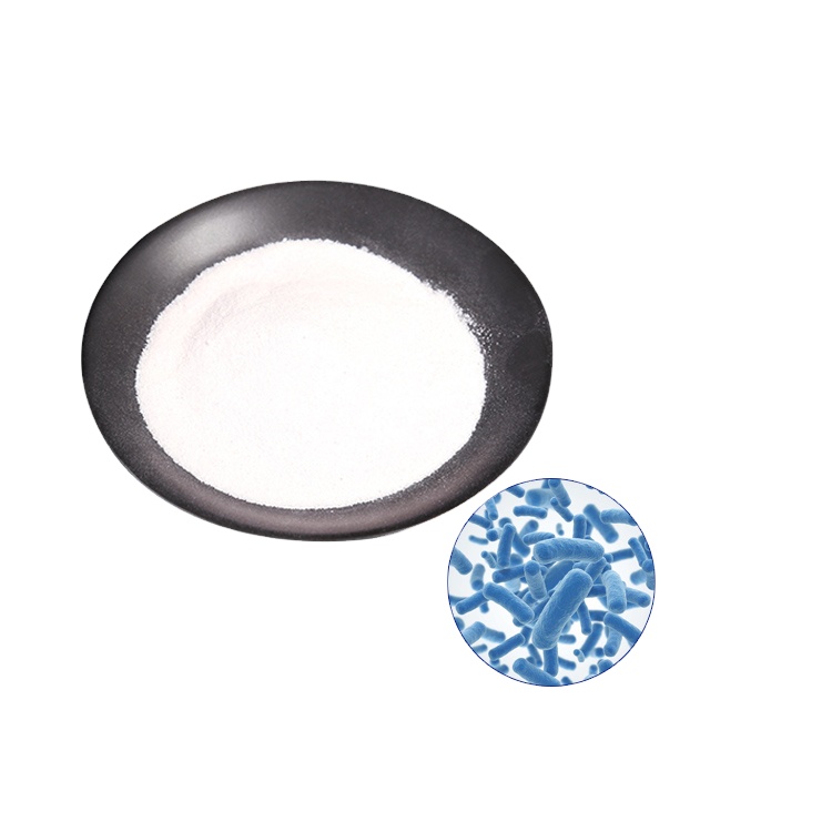 Genetic identified Lactobacillus casei probiotic bulk powder HH-LC39 300 billion probiotics nutritional supplement private label