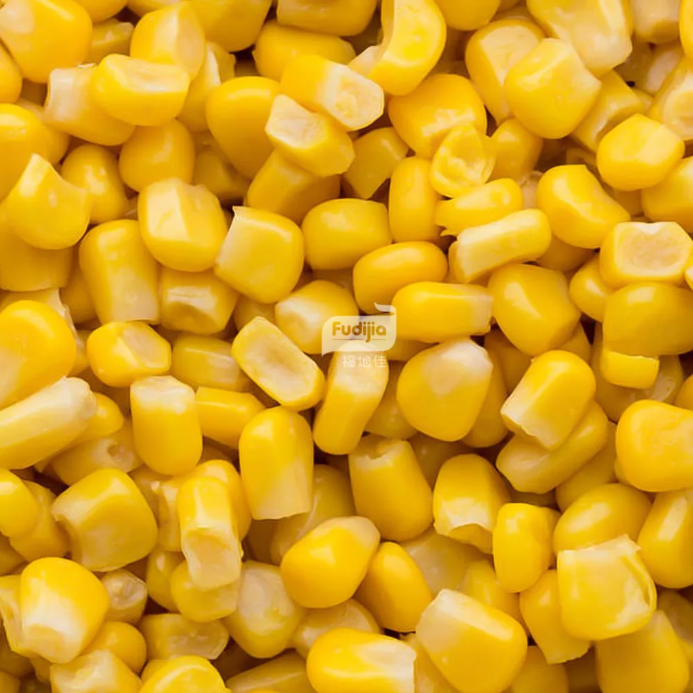 New Corp Canned Sweet Corn | Canned Corn Kernels | Canned Corn Factory Price Easy Open Canned Available
