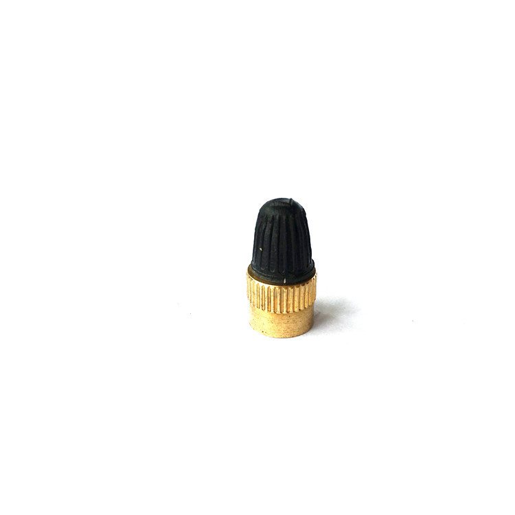 TOPSUN Direct factory brass Dustproof custom tire valve stem ccaps CA1-CU