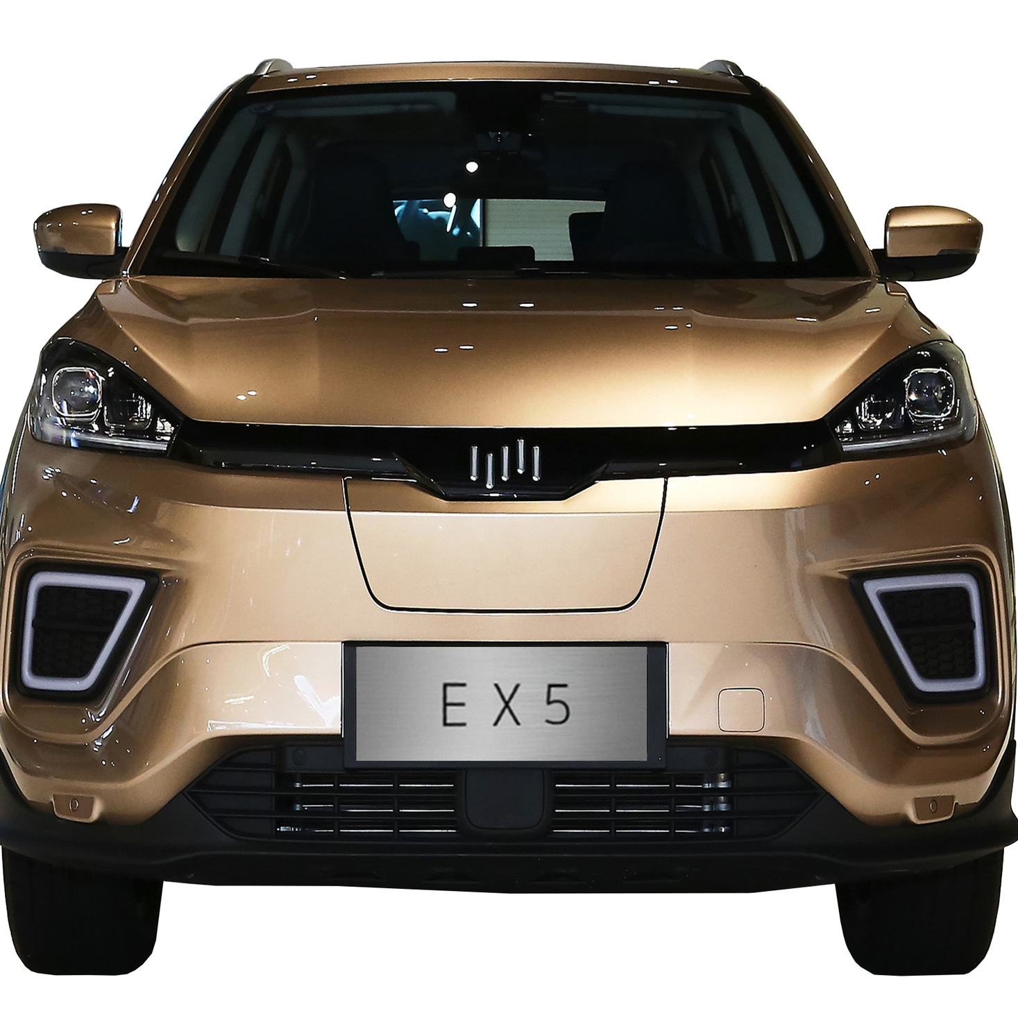 Горячая Распродажа WM EX5 green energy super range 4x4 sedan SUV power motor электрический автомобиль с литиевой железной фосфатной батареей