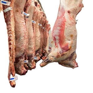 USA EXPORT QUALITY HALAL BEEF MEAT/HALAL BUFFALO BEEF MEAT DIRECTLY FROM FACTORY