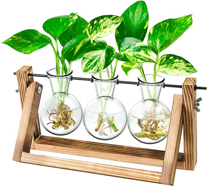 Factory-direct Glass Test Tube Plant Mini Vase Flower Pots For Hydroponic Plants