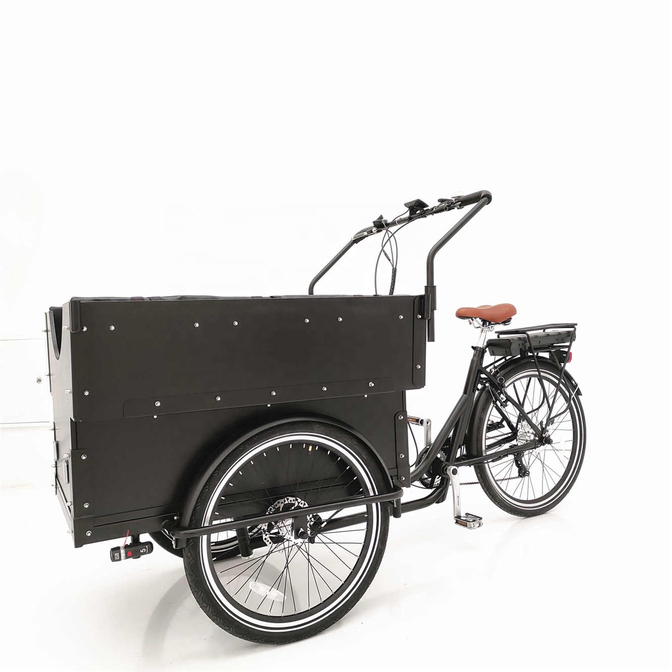Three wheel front loading family cargo bike electric tricycle for kids