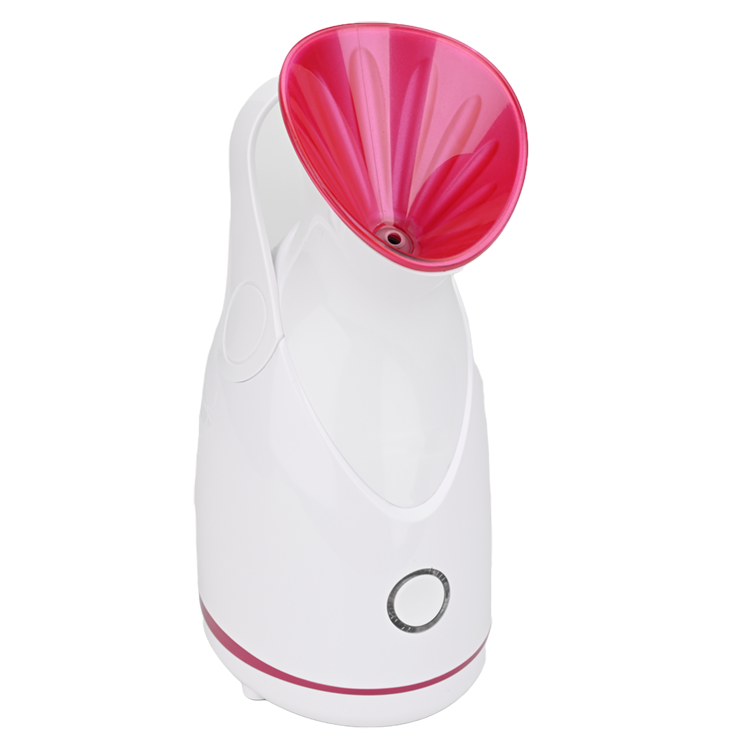 Skin Deep Cleansing Ionic Humidifier Beauty Personal Care Nanometer Facial Steamer for Home