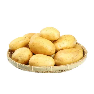 Hot selling 2022 new fresh potato with cheap price