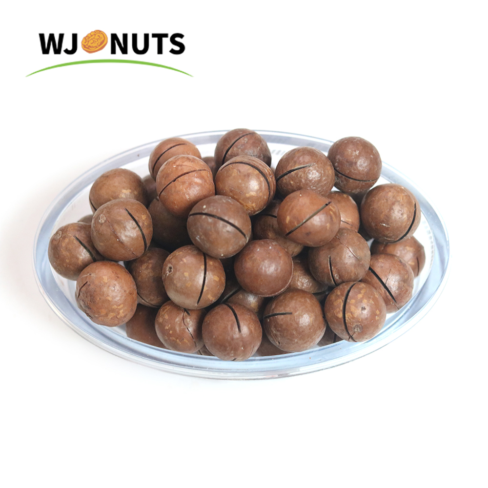 Wangjiang nueces de chocolate japanese macadamia nuts roasted