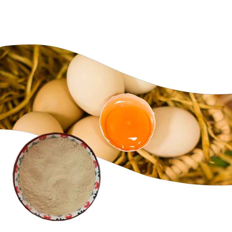 Best Complex enzyme for promoting laying hens to lay more eggs