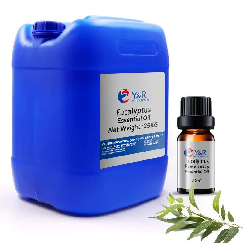 Multi-purpose 100% Pure Natural Fragrance Oil Eucalyptus Essential Oil Bulk with Best Price and Free Samples