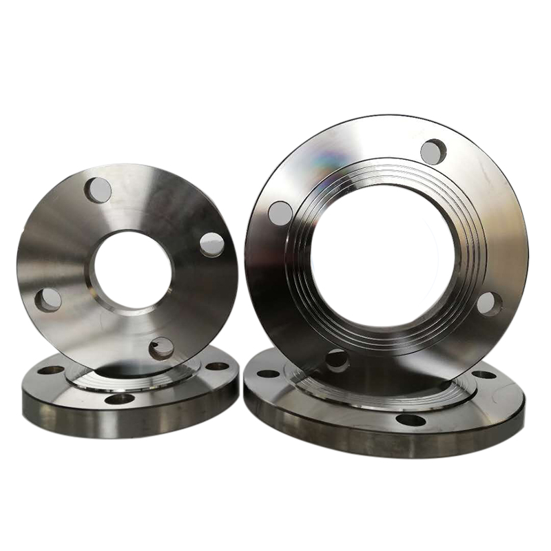 DN10 DN2000 jis din Standard Forged ss plate flange
