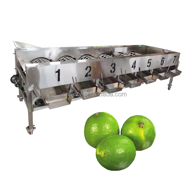 Automatic Fruit Vegetable Grading Sorting Size Machine Fruit Grader For Sale
