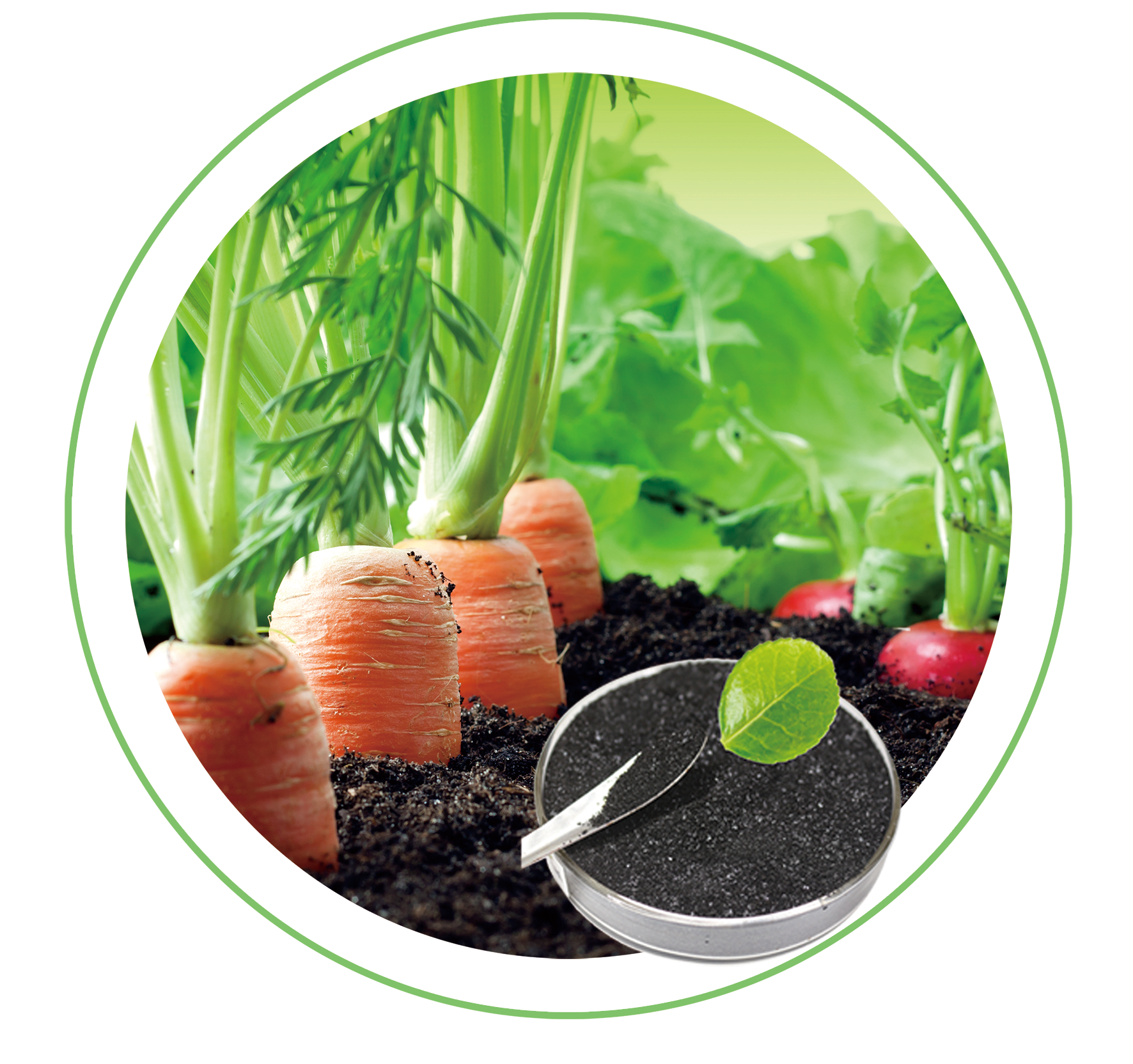 Factory sales Liquid fertilizer natural fertilizers for agriculture humate fertilizer