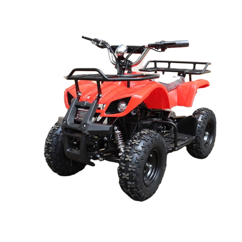YONGKANG PHYES 800W Mini Electric atv quad bike for Kids