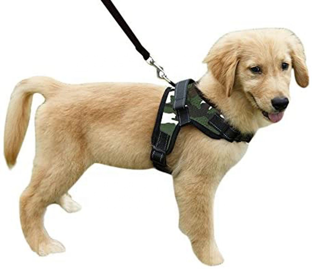 Adjustable Pet Puppy Dog Safety Harness with Leash Lead Set Reflective No-Pull Breathable Padded Dog Leash Collar Chest Harness