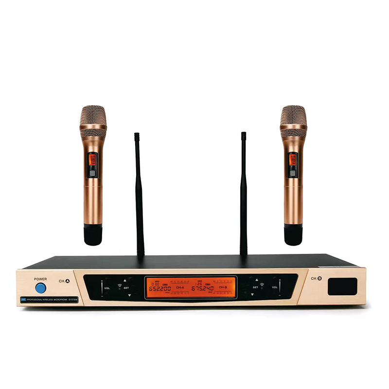 Профессиональный Караоке динамический беспроводной Двухканальный UHF беспроводной микрофон для пения