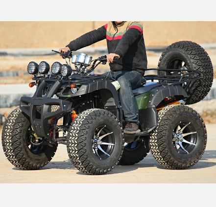CE Крытая взрослых приведенный в действие газом 250cc вездеход