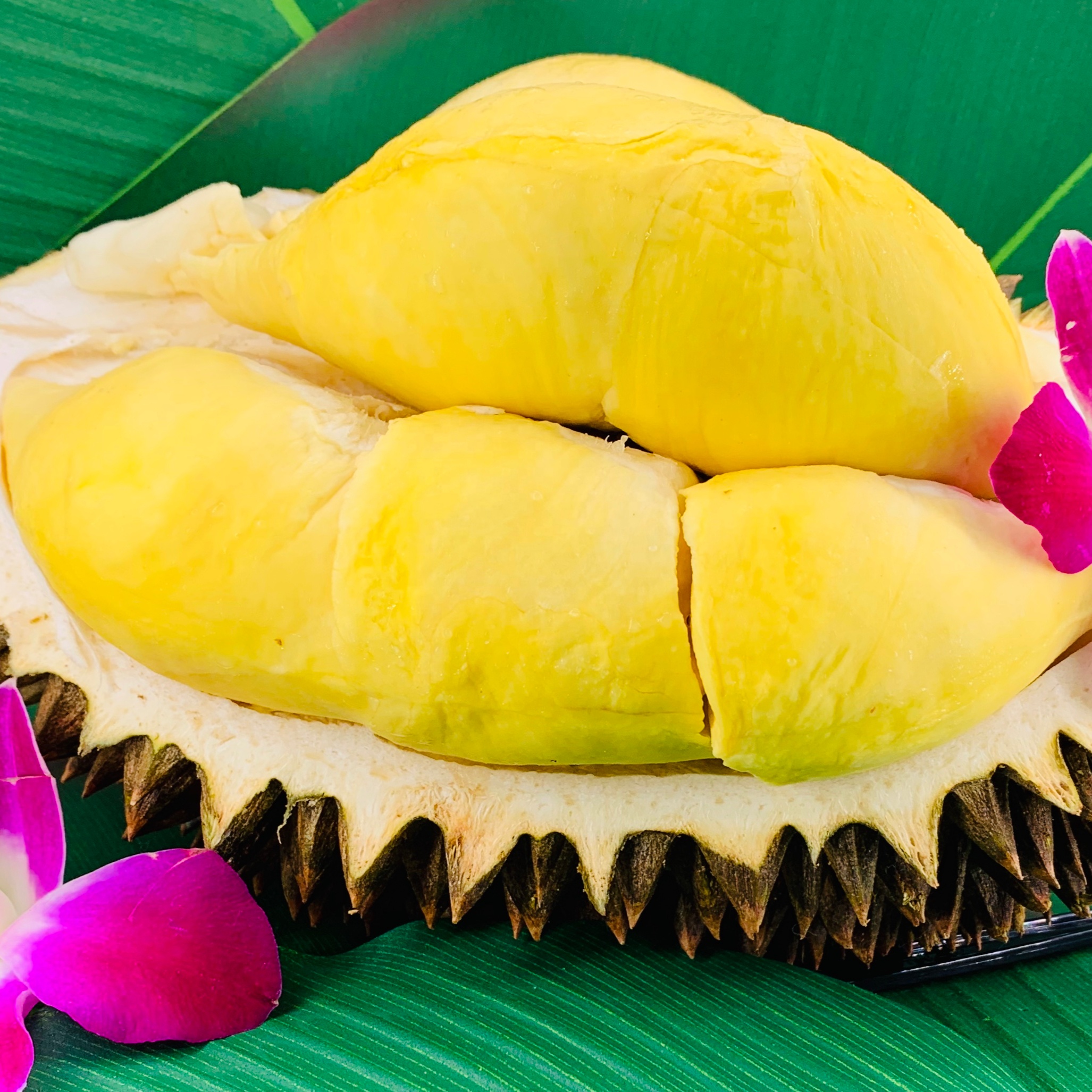 Высококачественные Monthong из Таиланда Fresh Durians