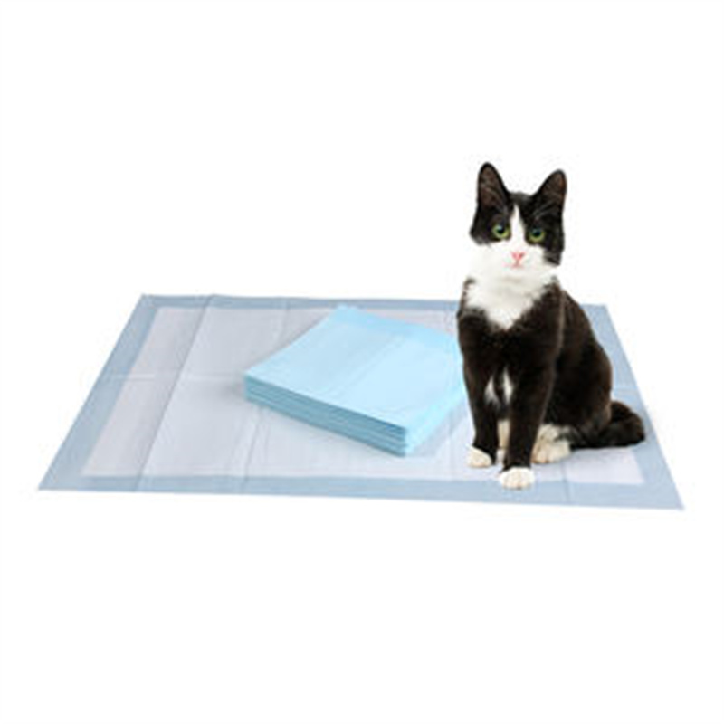 Super absorbent puppy training pad absorbs pet urine pad in one go