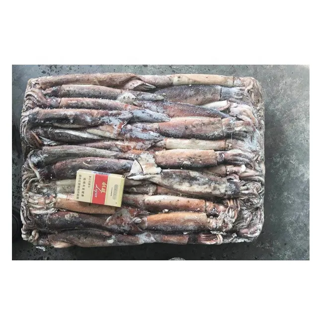 For sale price of live fresh squid as sea fishing bait