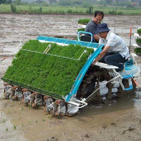 Rice Planter Rice Seeds Machines Rice sowing machine food Row Fertilizer Wheat Seeder Planter For Sale