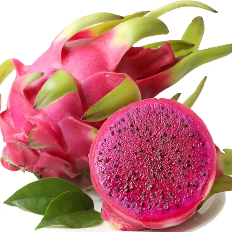 Attractive price fruits trees red dragon fruit seedlings for sale seedlings