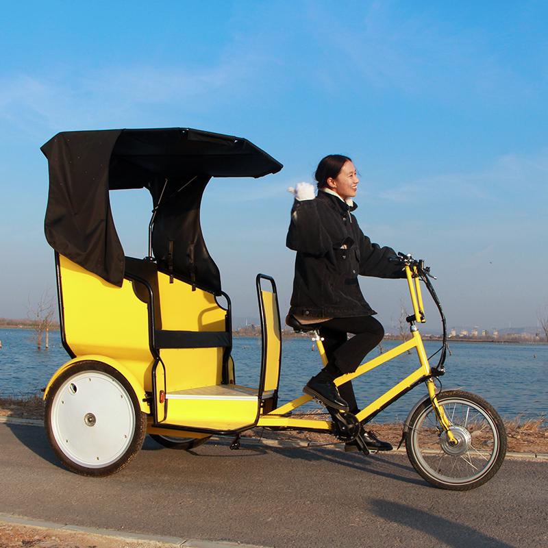Пассажирский Туризм рекламный Электрический рикша pedicab для продажи