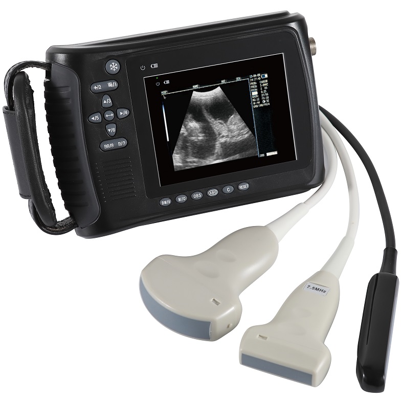 Cheap price medical portable veterinary  B/W portable small ultrasound machine