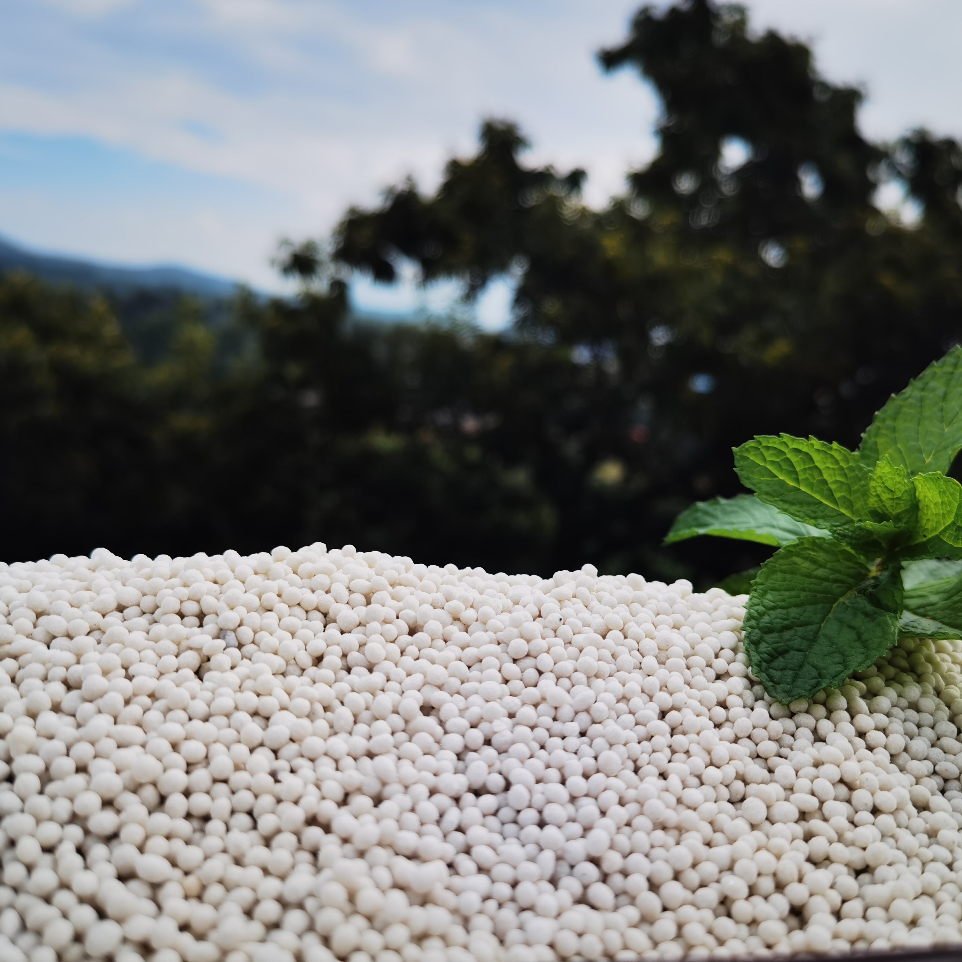 TSP/SSP factory outlet 18%-46% triple superphosphate/single superphosphate