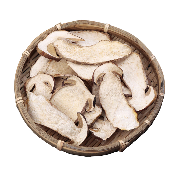 Wholesale Boletus Luteus Mushrooms / Dried Boletus Edulis
