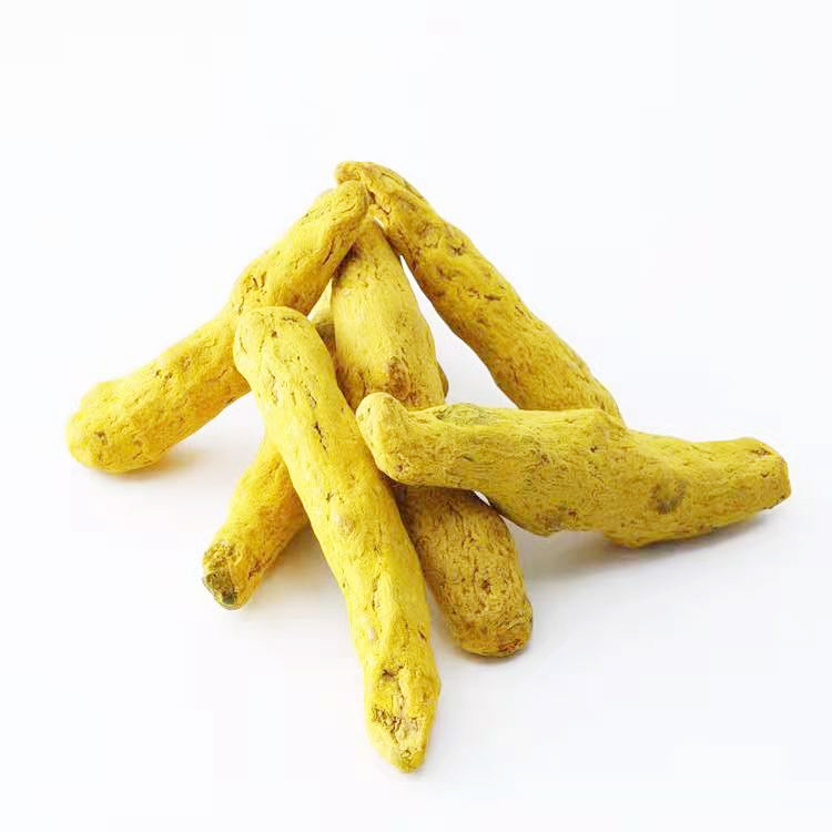Wholesales healthy food 100% pure natural green food spices top quality kasturi haldi turmeric supplement ground turmeric