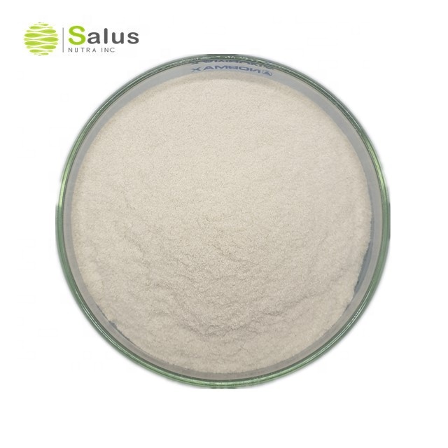 Top Grade Carboxymethyl Chitosan