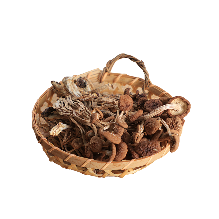 Natural Cultivated Fresh Dried Agrocybe Argerita Cylindracea