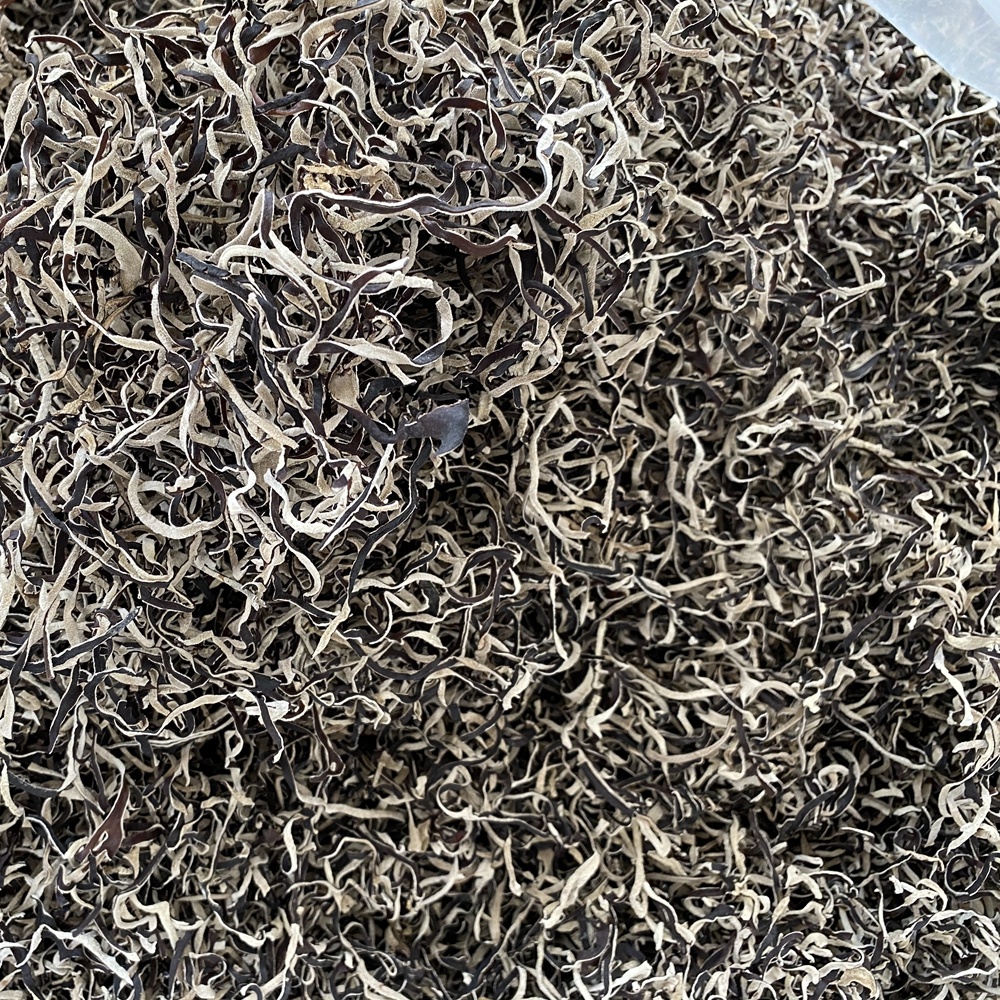Wholesale Best Dried White Back Black Fungus Mushroom Slice